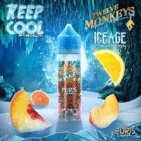 Puris Iced Shake n Vape- by Twelve Monkeys