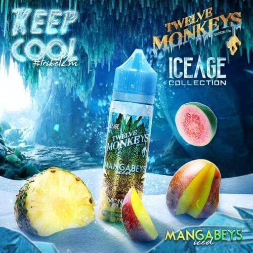 Mangabeys Iced Shake n Vape- by Twelve Monkeys